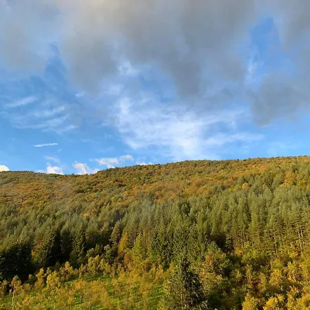 アパート Sokograd Attic