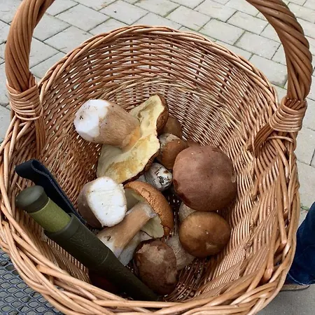 Sokograd Attic 아파트 *