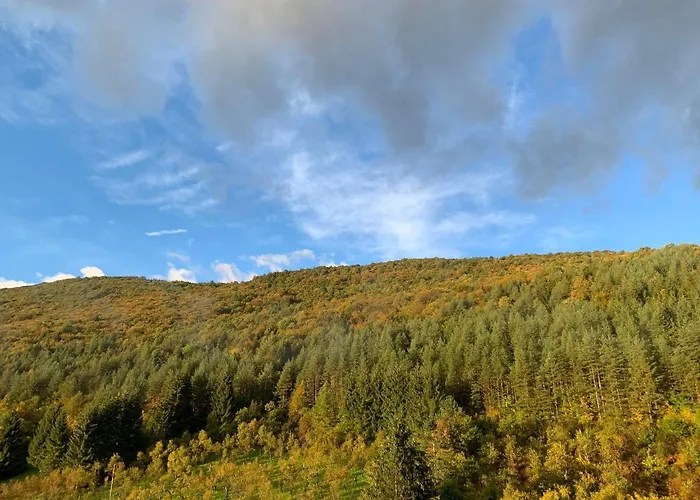 公寓 Sokograd Attic