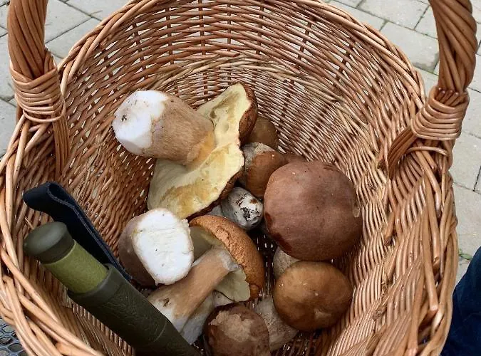 Sokograd Attic 公寓 *