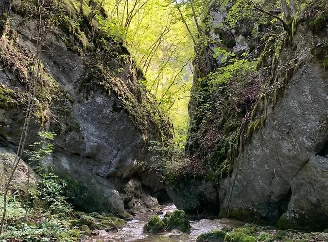 Sokograd Attic * Sipovo